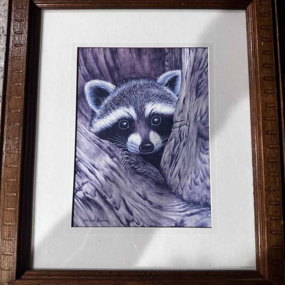 Framed Raccoon Art Print